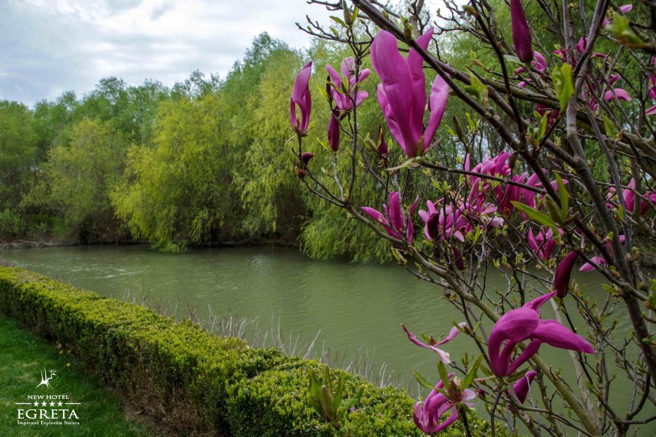 New Egreta Resort Dunavăţu de Jos Exteriör bild